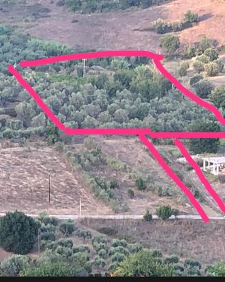 Terreno agricolo