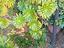 Immagine 6