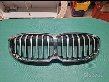 Griglia Anteriore BMW