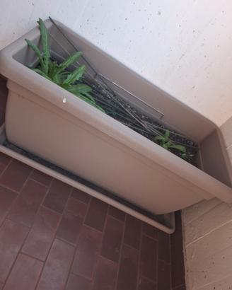 VASI DA GIARDINO/TERRAZZO