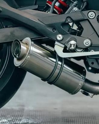 Power Titanium Roadsitalia Yamaha XJ6/Diversion