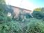 Immagine 10