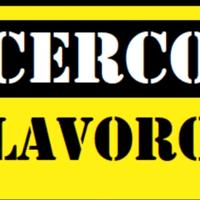 Badante x signora autosufficiente