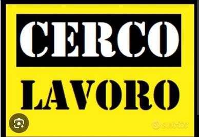 Badante x signora autosufficiente