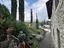 Immagine 25