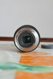 Sony 18-105  F4