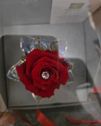 rosa stabilizzata