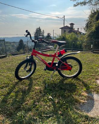 Bicicletta 16 pollici