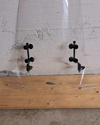 parabrezza biondi scooter 