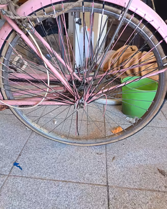 Bici donna Chiorda vintage