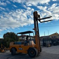 S139 - Muletto 130 q Raniero