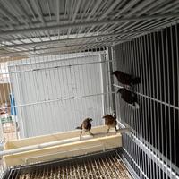 Solo per chi e interessato