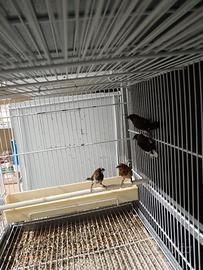 Solo per chi e interessato