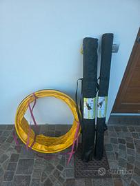 set Agility dog 
