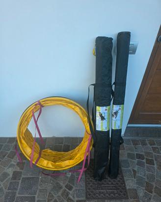 set Agility dog 