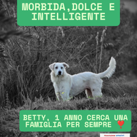 Betty in adozione