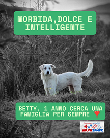 Betty in adozione