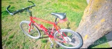 Bicicletta Mountain bike
