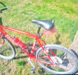 Bicicletta Mountain bike