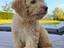 Immagine 5