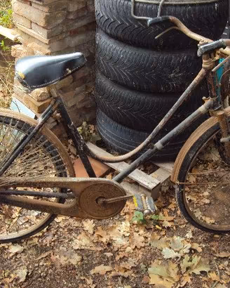 bicicletta Diamant epoca