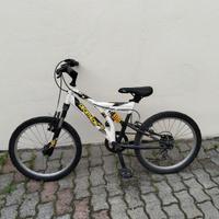 Bicicletta 20 pollici