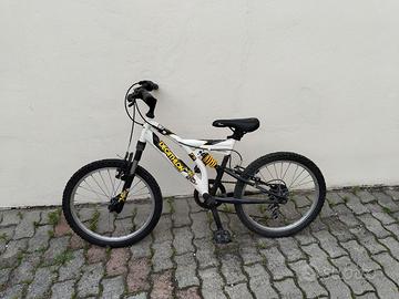 Bicicletta 20 pollici