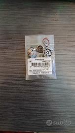 Charm Pandora in argento 