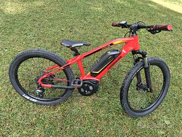 EBIKE BAMBINO "24 motore Bosch 400Wh !!!