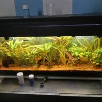 acquario 120 litri con accessori