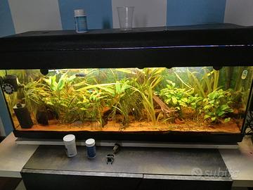 acquario 120 litri con accessori