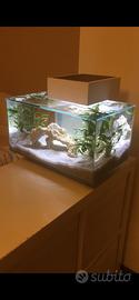 Acquario askoll fluvial edge 23Litri
