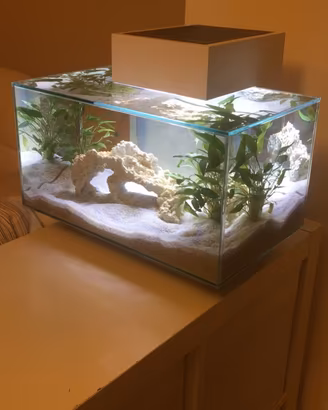 Acuario askoll fluvial edge 23Litri