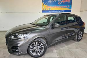 Ford Kuga 1.5 ecoblue ST-Line 2wd 120cv auto