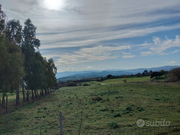 Terreno agricolo