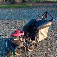 Aspirafoglie professionale Billy Goat