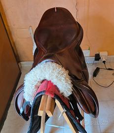 sella equipe carbon 17/5