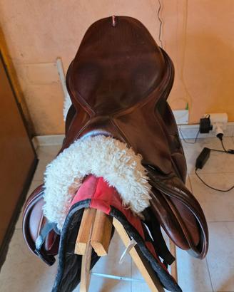 sella equipe carbon 17/5