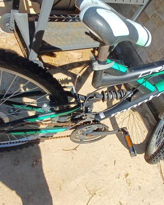 mtb montana 24