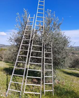 Scale in alluminio