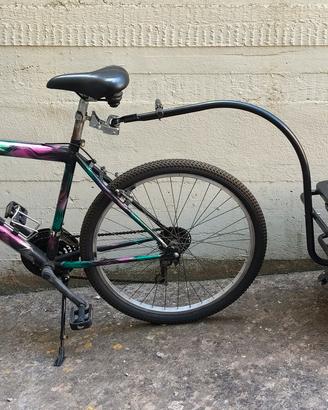Mountain bike con carrello 