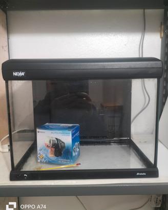 Acquario Newa Mirabello