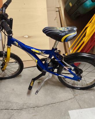 bicicletta 