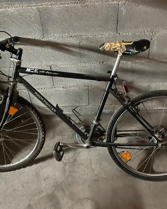 Mountain bike uomo