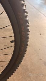 Bicicletta