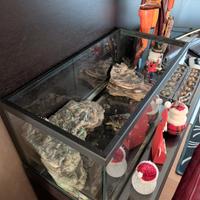 vasca vetro pesci o tartarughe