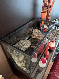 vasca vetro pesci o tartarughe