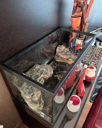 vasca vetro pesci o tartarughe