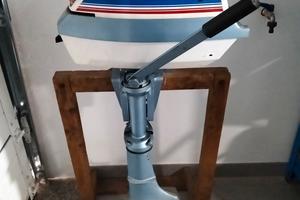 motore evinrude 4 hp
