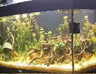 Acquario juwel 180